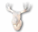 Lampa Älg Moo