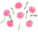 Dekorationsblommor Rosa