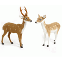 Deer Male