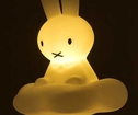 Miffy Dream