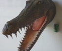 Krokodil Trofé
