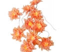 Ljusslinga Dahlia Peach