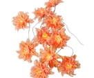 Ljusslinga Dahlia Peach